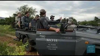 NJ More Field Guide Association of South Africa
