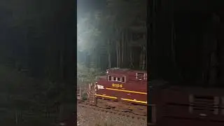 NS 8104 Lehigh Valley Heritage Unit Trailing at Cassandra, PA!!