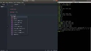PHP Tutorial #2: Variables