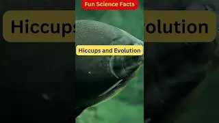 Hiccups and Evolution | Fun Science Facts #shorts #sicence #evolution