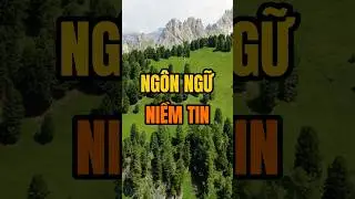 Minh bạch l&agrave; ng&ocirc;n ngữ của niềm tin #hoangngoc #trending #lanhdao