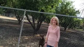 Opponents of Fresno Bully Rescue Site