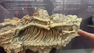 underground museum