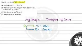 What is true about RBCs in human?....