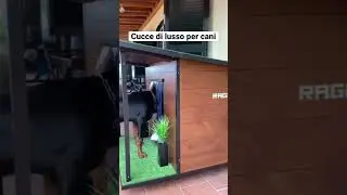 Cucce di lusso su misura per cani.    #cane #doghouse #gardendesign #luxury #cucciasumisura #cuccia