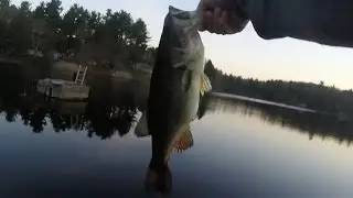 Spring bank fishing for some CHUNKY bass!!!
