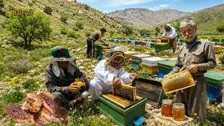 The nomads' secret in harvesting pure honey; the mission of the beekeeping farm and its treasure