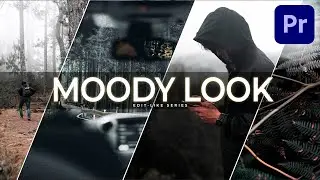 Как создать цветовую градацию MOODY Look/Style (без LUT) | Premiere Pro CC