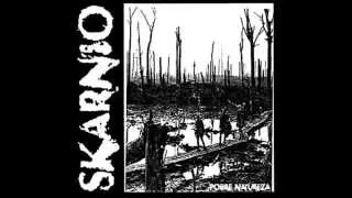 SKARNIO - POBRE NATUREZA - LP (FULL ALBUM)