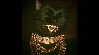 [FREE] Nemzzz x Dark Sample Hoodtrap Type Beat 