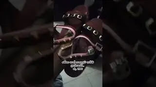 colombo K+ shoe fair 🥰 #shortvideo #foryou #fypシ #viral #shoes #viralvideo #shopping #trending #fypシ