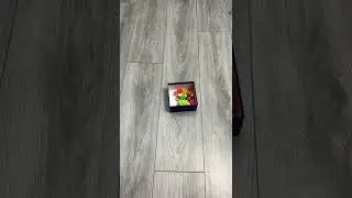 balls reverse video