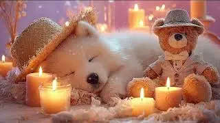 Dog Relaxation Music for Anxiety Relief 💤 Gentle Soothing Sounds to Help Dogs Sleep Peacefully