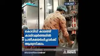 ഓണം വിപണിയിൽ പ്രതീക്ഷയർപ്പിച്ച് മിൽമ MILMA Hopes Onam business