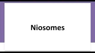 niosome #mpharm #pharmacy #phdpharmacy #niosome