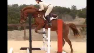 My Virtual Eventing Coach Question