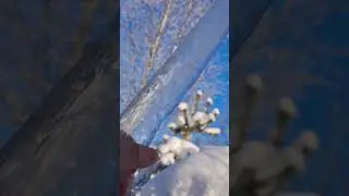 Волшебство зимнего дня #зима #сосульки #зимнийдень