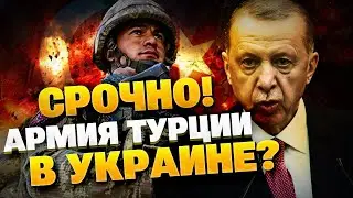 Эрдоган ошарашил! Армия Турции отправится в Украину?!
