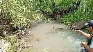 Kalau trasa ada tarikan nya pasti ada ikan nya
