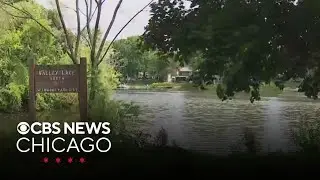 Dead fish cause nasty odors in Gages Lake, Illinois