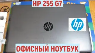 Обзор на ноутбук 15.6  HP 255 G7 (7DF19EA)