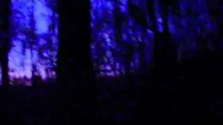 Paranormal Scouting Expedition (11/6/2010) Part 3
