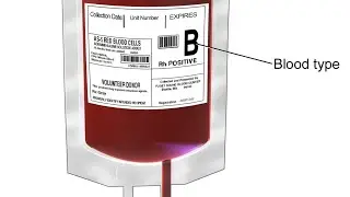Blood products storage||RCC||FFP,s||platelets||Red cell components||Fresh frozen plasma ||