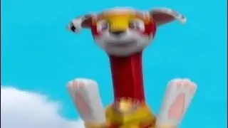 Top 5 Paw Patrol