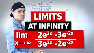 CALC 1000 (Western University) - Limits at Infinity with Exponential Functions