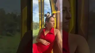 POV: You love the Disney skyliner