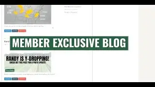 Yield Management System Demo- Member Exclusive Blog YMS 6