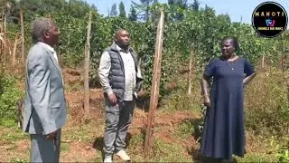 Watch beautiful MP Arama PA John Koech's wife touring us inside their multimillion Bomet home, farm 