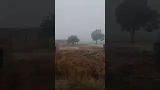 Traveling in train journey in Winter fog 😄 #train #travel #winter special#track sound