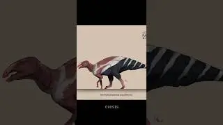Huehuecanauhtlus! Dino Short #120