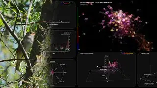 A Nightingale's Song Translated into Realtime Data