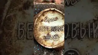 Сила наша, Берёзовая каша! #metaldetecting #поиск #коп