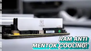 Ram Yang Literally Low Profile Dari Team! ft T-Create Expert 32GB&nbsp;Kit&nbsp;DDR5&nbsp;White
