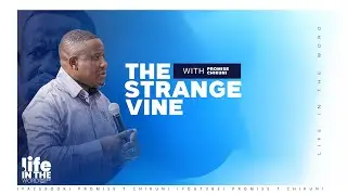 The Strange Vine | Promise T Chikuni
