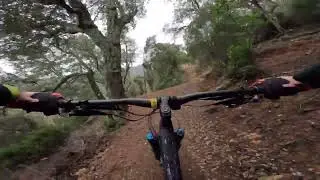 Blue lines in Pure riding bike park (Baloo, Novicielli), 02.11.2024