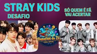 Você conhece mesmo STRAY KIDS? | Quiz com 14 Perguntas
