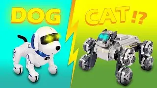 Robot Dog vs Robot Cat &ndash; Strength Test