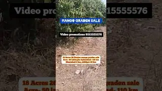 18 Acres 26 Guntas Mango Garden for Sale || near Mustabad