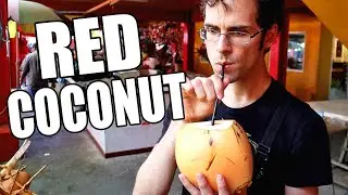 RED COCONUT Review (Cocos nucifera) - Weird Fruit Explorer
