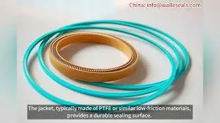 What Are Spring Energized Seals