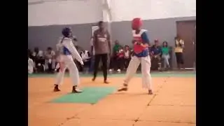 taekwondo 🥋 hackerbot 🥷☠️