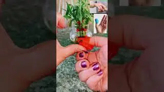 use sujok thumb massager and sujok ball to heal any diseases.#nepali #shortsvideo #acupressure