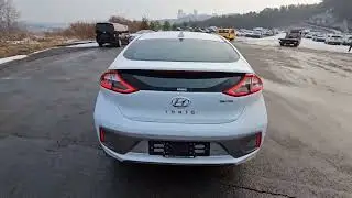 2019 Ioniq Electric Q