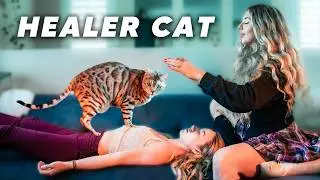 I Investigated This Mystical Cat's Healing Powers