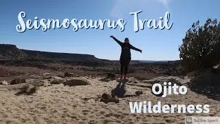 Seismosaurus Trail ~ Ojito Wilderness
