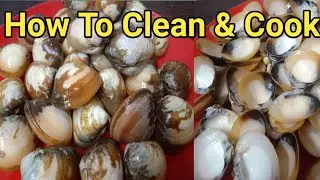Traditional Oyster Recipe /How to Clean Claims/Shell Fish Recipe /घोंघा कैसे बनाते हैं/ghogha recipe